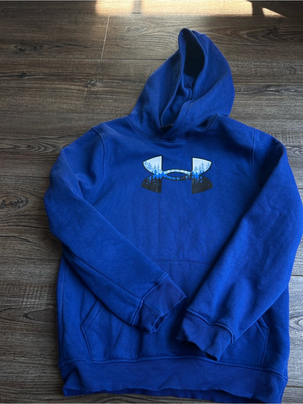 Under Armour Boys Hoodie